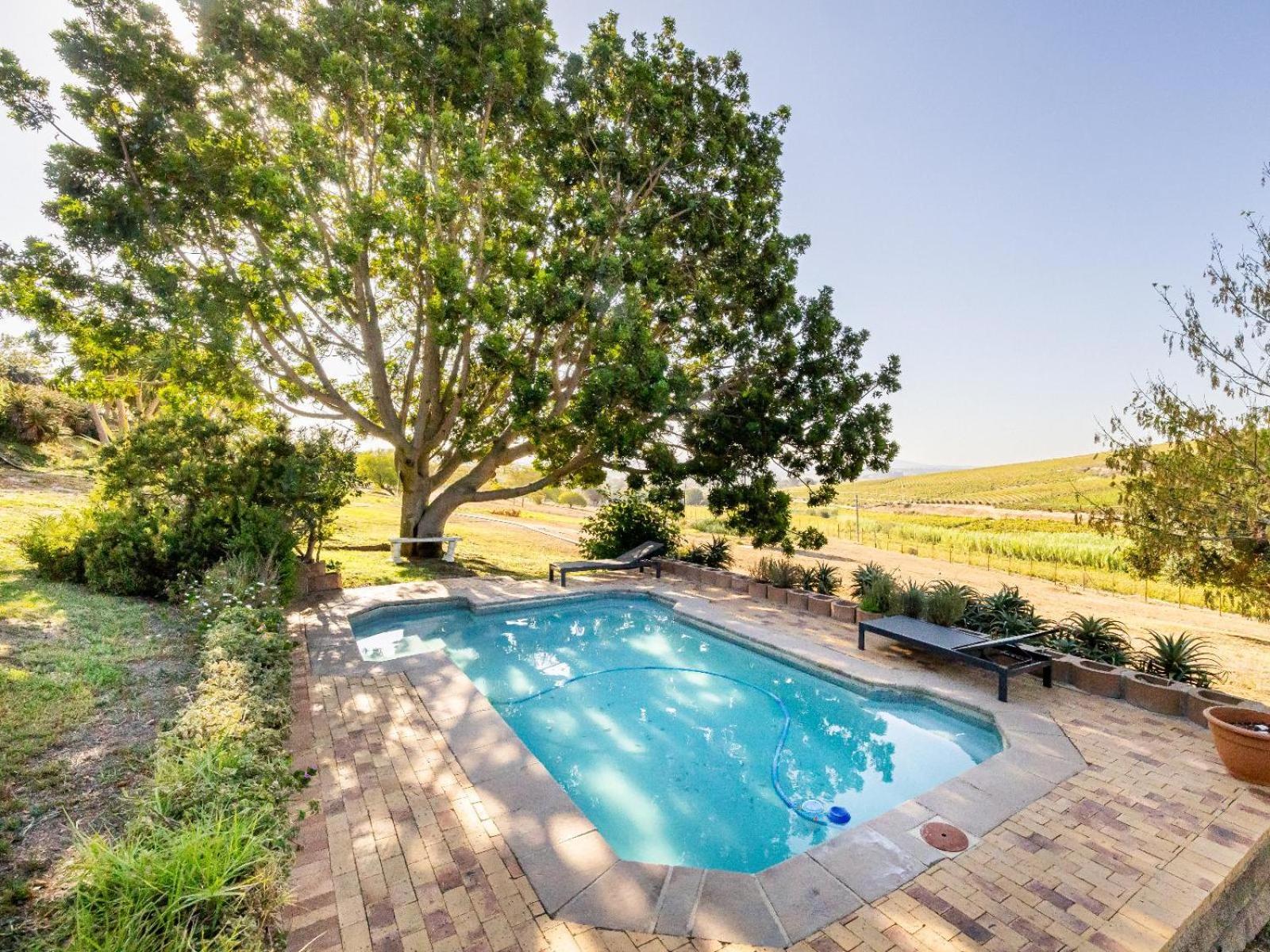 Belcharto Accommodation Stellenbosch Eksteriør billede
